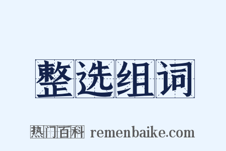 整选组词是什么意思的图片